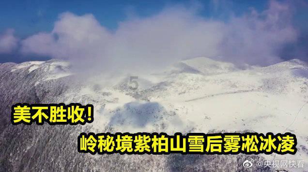 【八闽“烟火气”】“阳光1+1”2024龙坑村慈善公益活动举行 让老人温暖过年